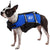 Jetpilot Dog PFD 2021 Blue