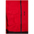 Dakine Smyth Pure GORE-TEX 2L Insulated Jacket - Men's Spice