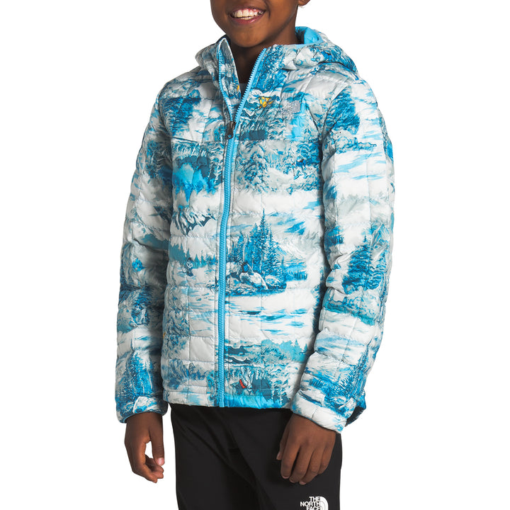 The North Face ThermoBall Eco Hoodie - Boys' Ethereal Blue Yeti Scenic Print