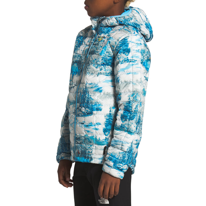 The North Face ThermoBall Eco Hoodie - Boys' Ethereal Blue Yeti Scenic Print