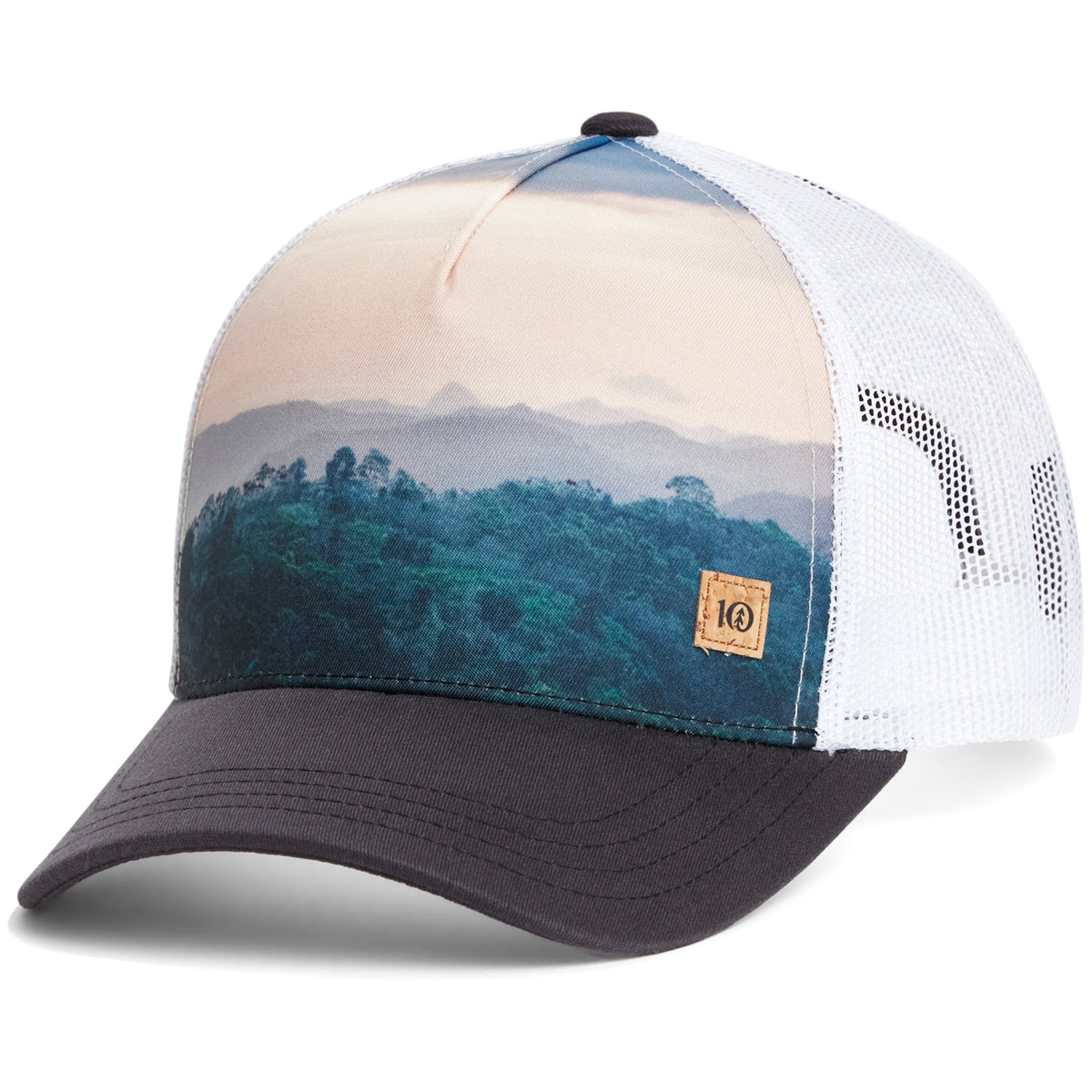 Tentree Bali Altitude Hat Meteorite Black