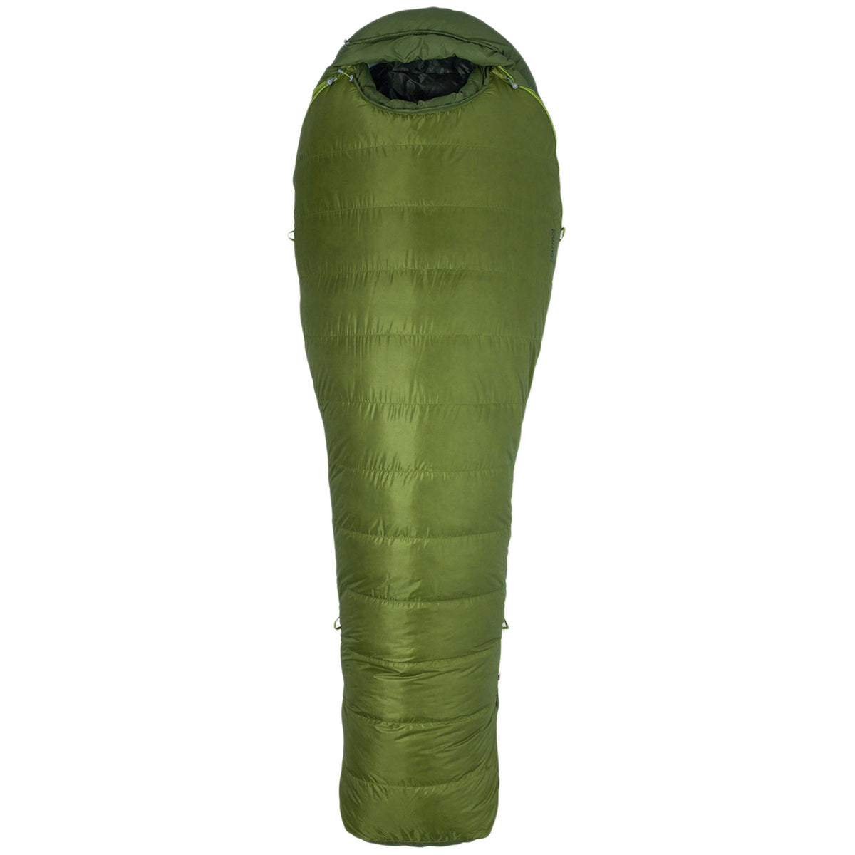Marmot Never Winter Sleeping Bag Cilantro/Tree Green