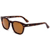 Eco Havana/Brown Polar