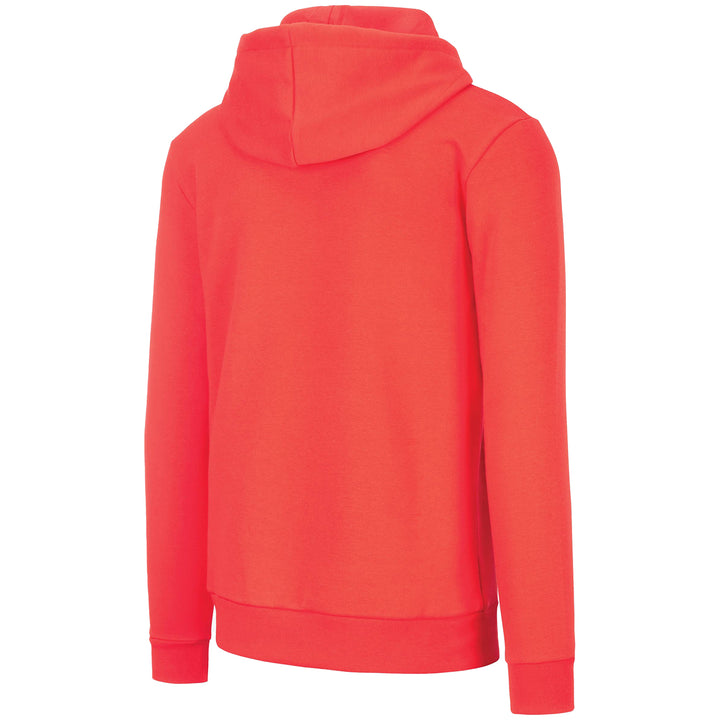 Picture Organic Basement Flock Hoodie - Men's Red
