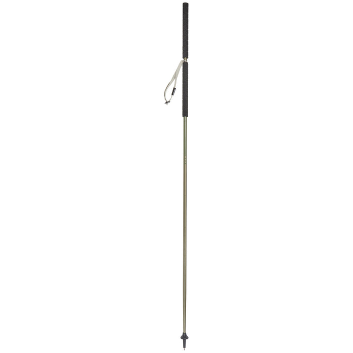 Kelty Strider Hiking Staff
