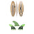 Solid Surf Co Lunch Break Surfboard + Captain Fin CF Medium Single Tab Tri Fin Set