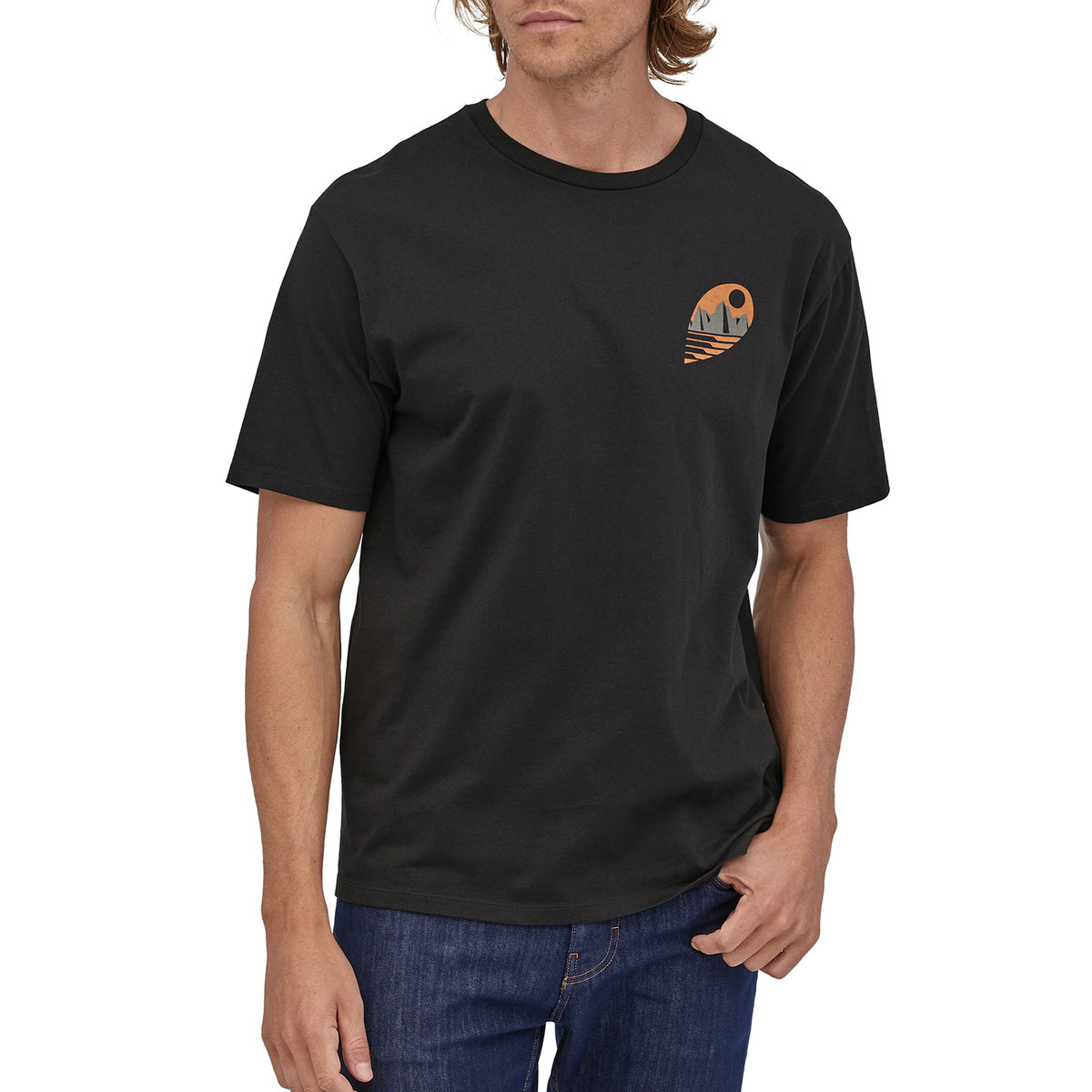 Patagonia Tube View Organic T-Shirt - Men's Black