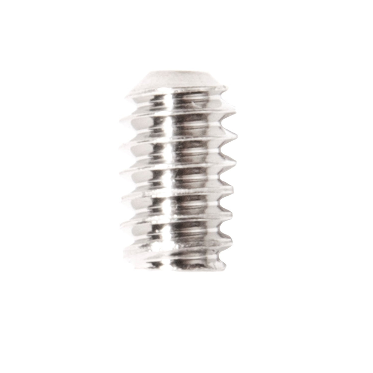 FCS Stainless Steel Screws - 12 Pack