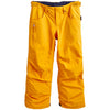 Cadmium Yellow