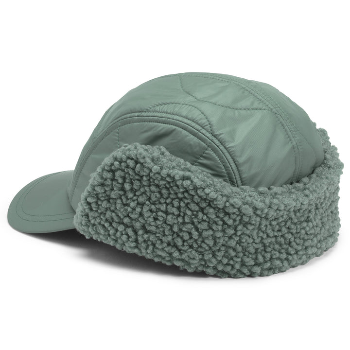 The North Face Insulated Earflap Hat Laurel Wreath Green/Laurel Wreath Green