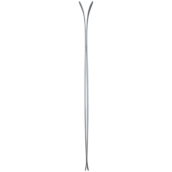 Icelantic Natural 101 Skis 2022