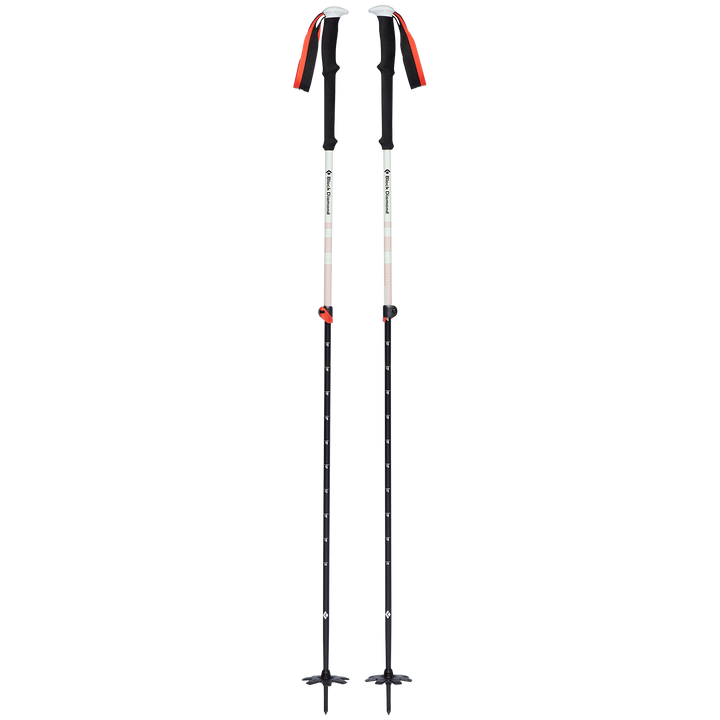 Black Diamond Expedition 2 Ski Poles 2025