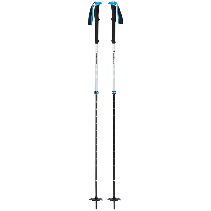 Black Diamond Expedition 2 Pro Ski Poles 2025