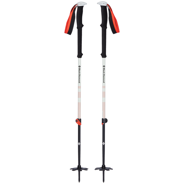 Black Diamond Expedition 2 Ski Poles 2025