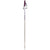 Völkl Phantastick W Ski Poles - Women's 2026 Silver