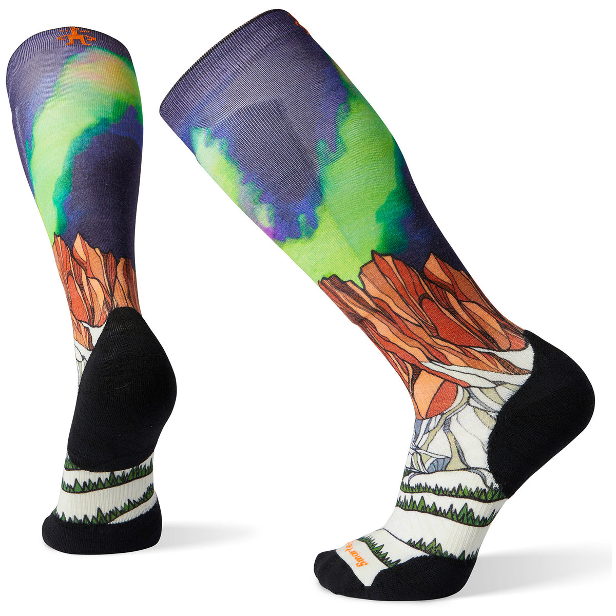 Smartwool Performance Ski Targeted Cushion Homechetler Print OTC Socks Multi Color