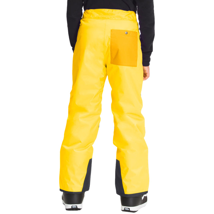 The North Face Freedom Insulated Pants - Boys' Lightning Yellow