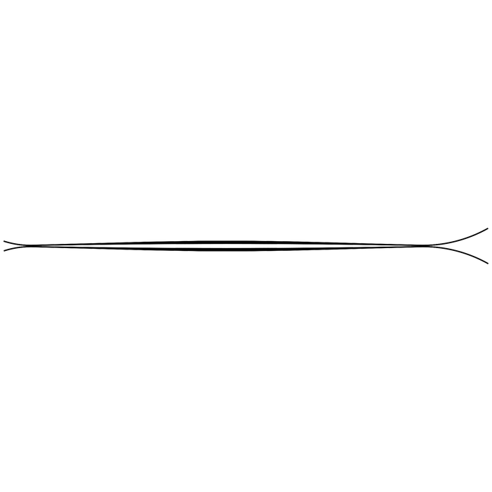 ZAG H-116 Skis 2022