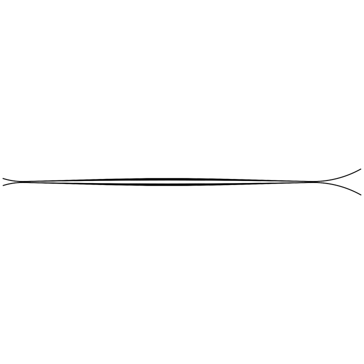 ZAG H-116 Skis 2022