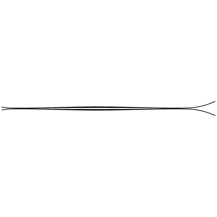 ZAG UBAC 95 Skis 2022