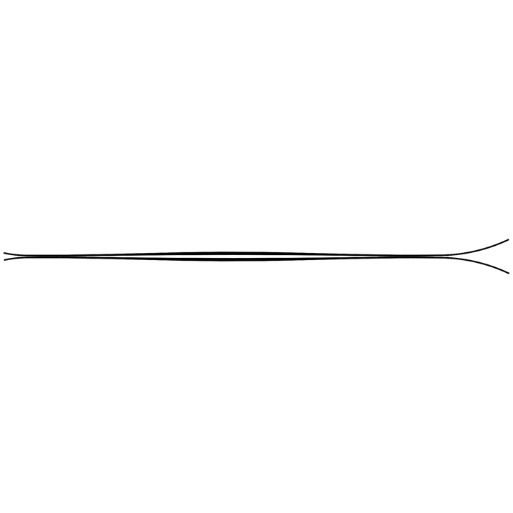 ZAG UBAC 95 Skis 2022