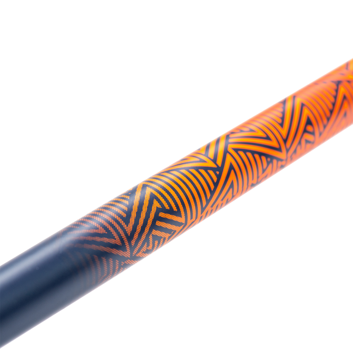 ZAG South Pole Ski Poles 2023