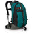 Osprey Heritage Simplex 20 Backpack Dark Pine Green