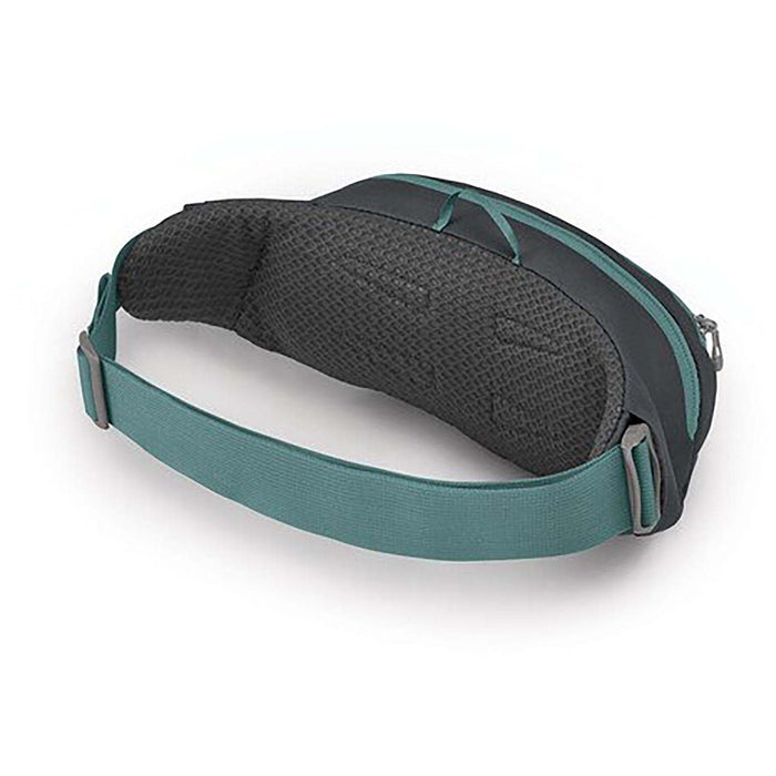 Osprey Daylite Waist Pack Basanite/Eclipse Grey