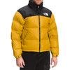 Arrowwood Yellow