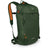 Osprey Soelden 22 Backpack Dustmoss Green