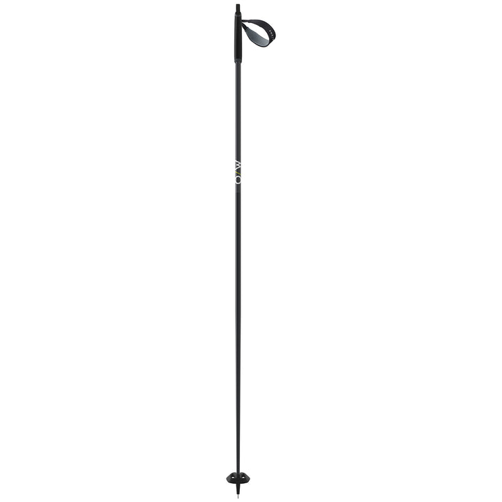 Fischer BC Offtrack Cross Country Poles 2024