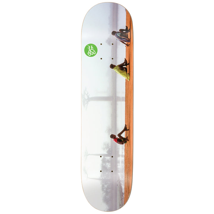 Enjoi Salad Day of Skateboarding R7 8.25 Skateboard Deck