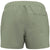 The North Face Class V Plus Size Shorts - Women's Tea Green