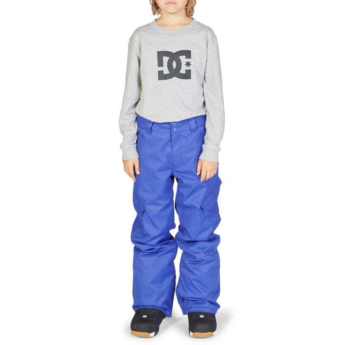DC Banshee Pants - Boys' Royal Blue
