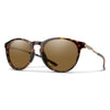 Tortoise/ChromaPop Polarized Brown