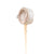 FCS 6' All Round Essential Leash DNU