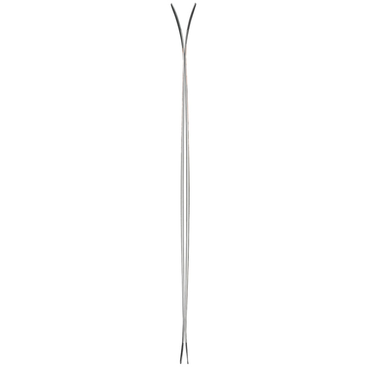 Nordica Santa Ana 98 Skis - Women's 2023
