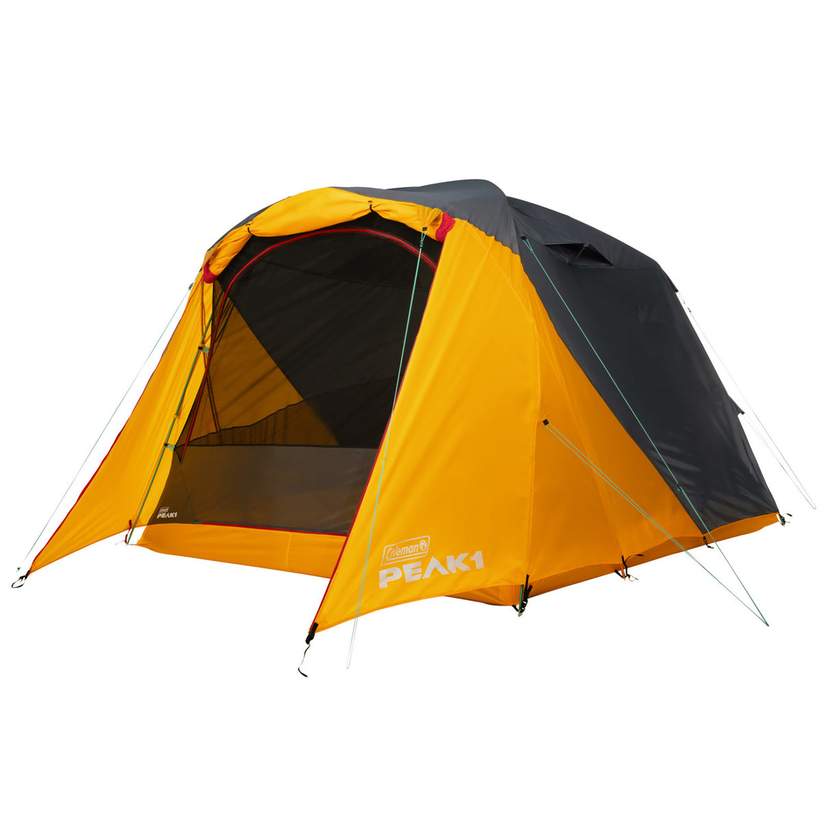 Coleman Peak1™ 6-Person Dome Tent  Dark Stone