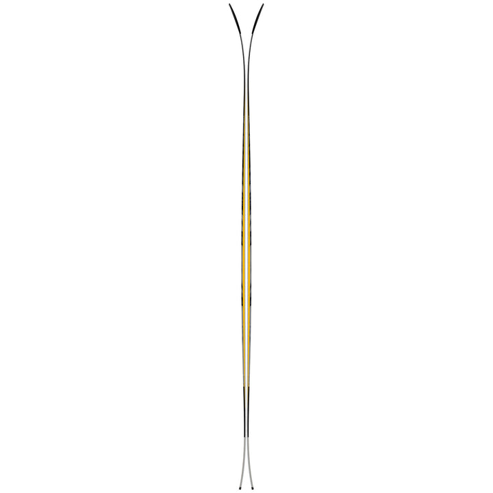 Atomic Backland 100 Skis 2023