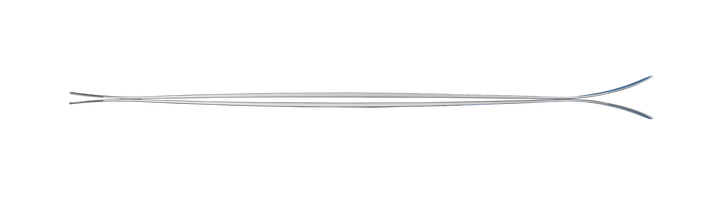 Nordica Santa Ana 93 Skis - Women's 2023