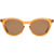 SITO Now or Never Sunglasses Tobacco/Brown Polar