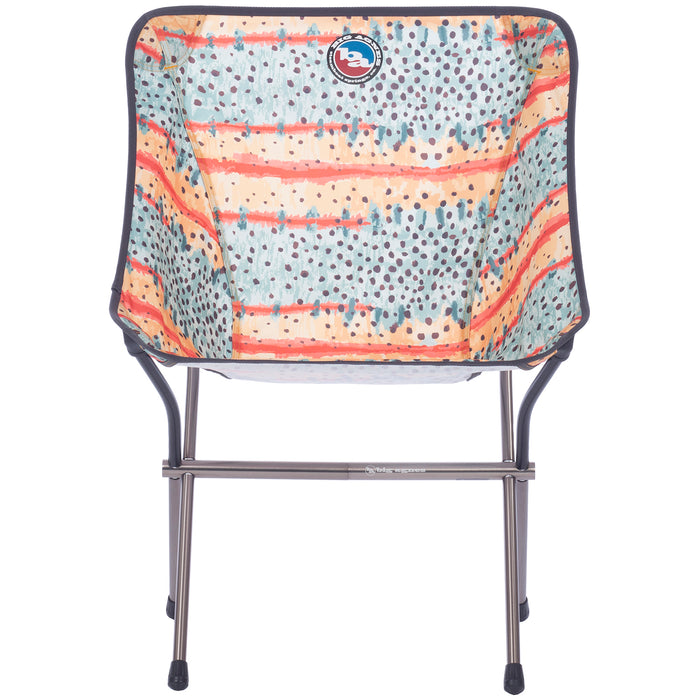 Big Agnes Mica Basin Camp Chair Greenback