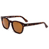 Eco Havana/Brown Polar