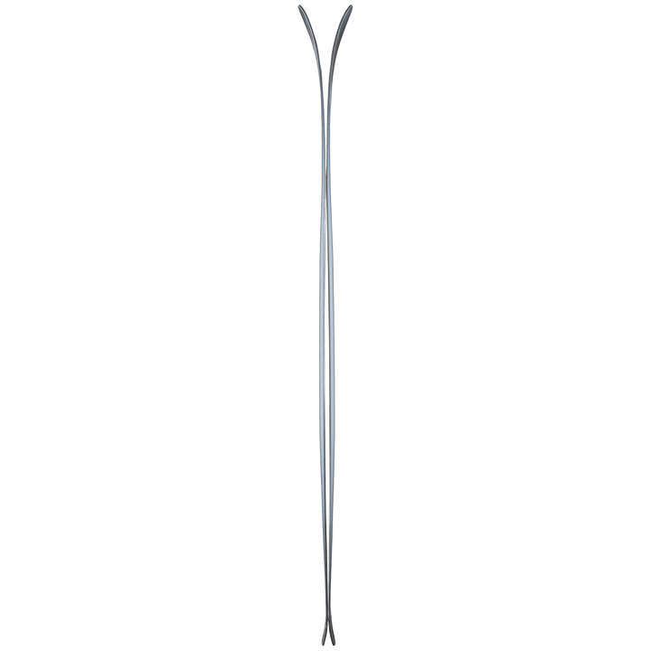 Icelantic Natural 101 Skis 2023