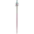 Völkl Phantastick W Ski Poles - Women's 2026 Berry