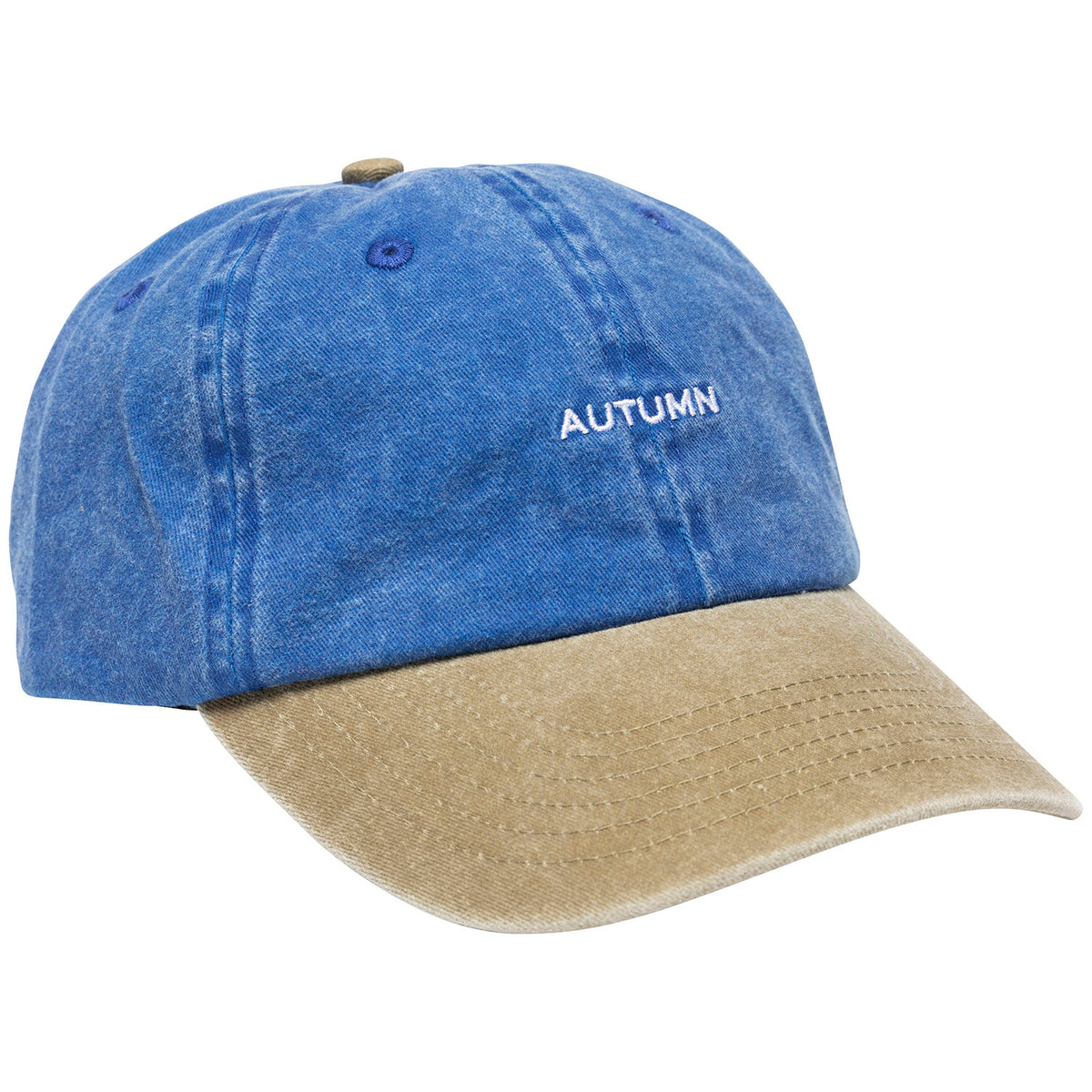 Autumn 6 Panel Strapback Hat Blue