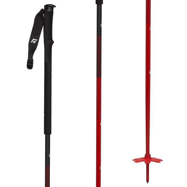 Black Diamond Vapor 1 AL Ski Poles 2023