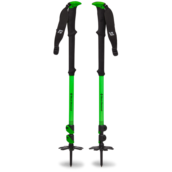 Black Diamond Expedition WR 3 Ski Poles 2025