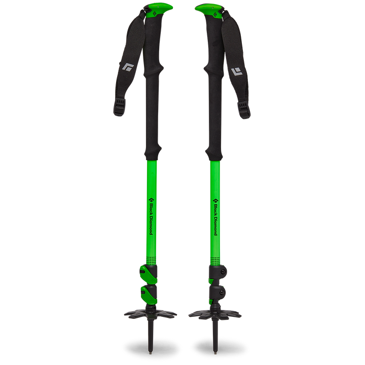Black Diamond Expedition WR 3 Ski Poles 2025