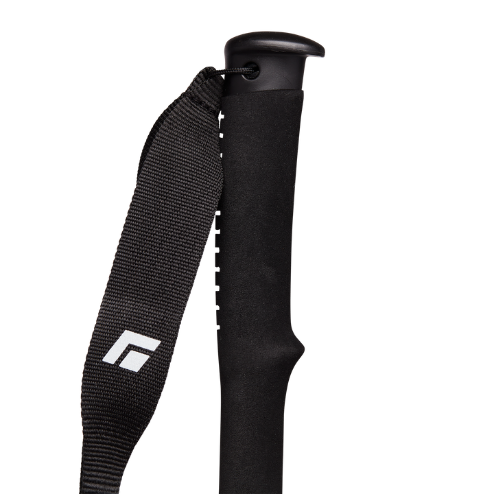 Black Diamond Vapor 1 AL Ski Poles 2023